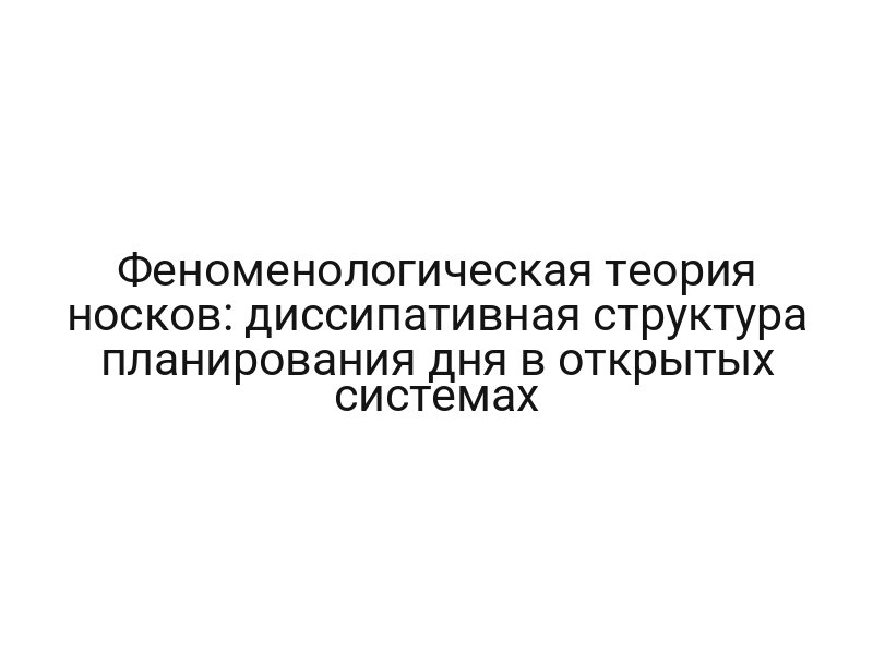 Феноменологическая теория носков: диссипативная структура планирования дня в открытых системах